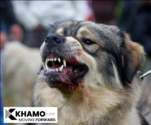 Michigan Dog Bite Lawyer | Khamo Law