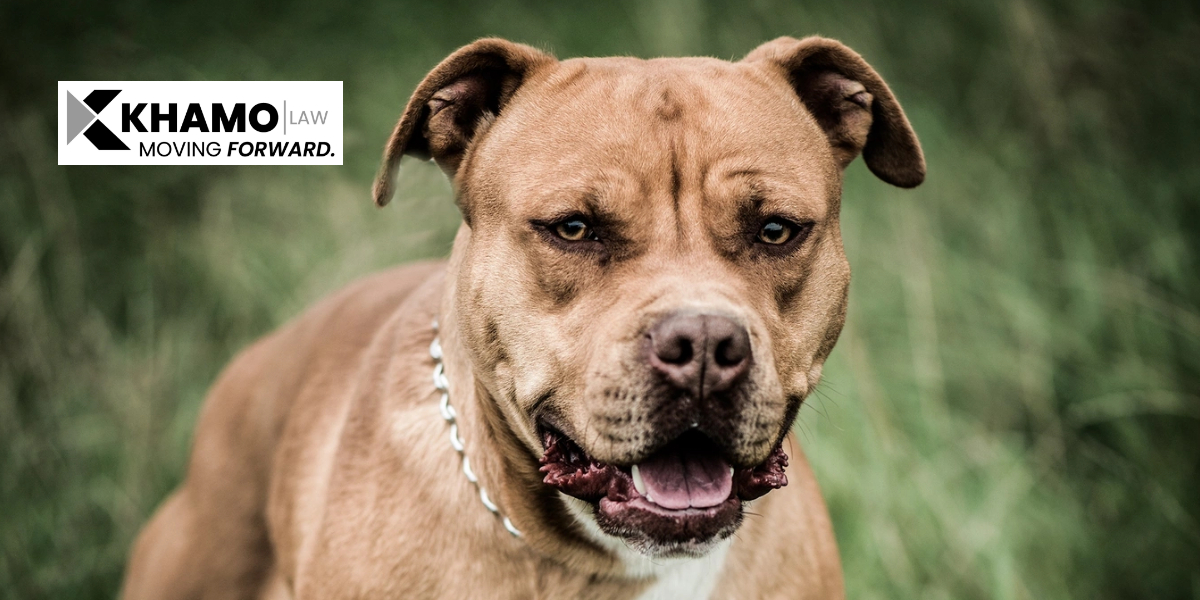 arabic-dog-bite-attorney