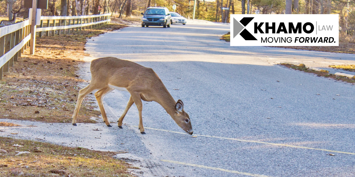 حوادث السيارات في أكتوبر: لماذا تزداد الحوادث في هذا الشهر؟